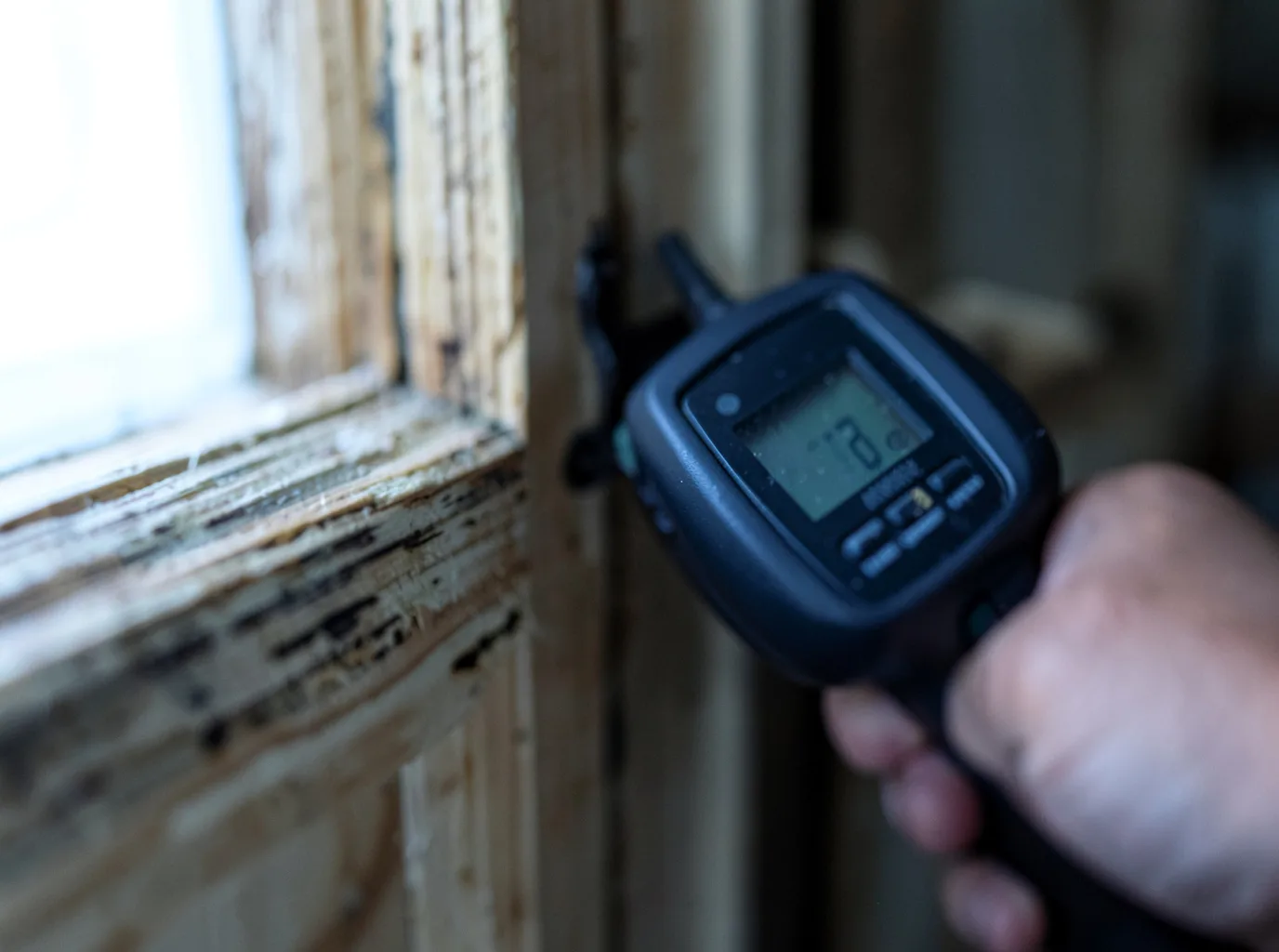 Moisture Inspection And Documentation in Nemacolin, PA